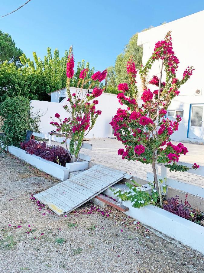 Apollonio Suites & Rooms Faliraki Rhodes Eksteriør billede